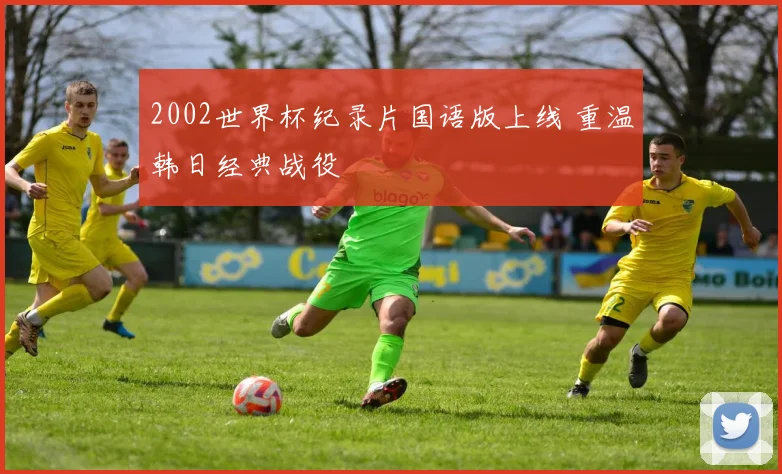 2002世界杯纪录片国语版上线 重温韩日经典战役